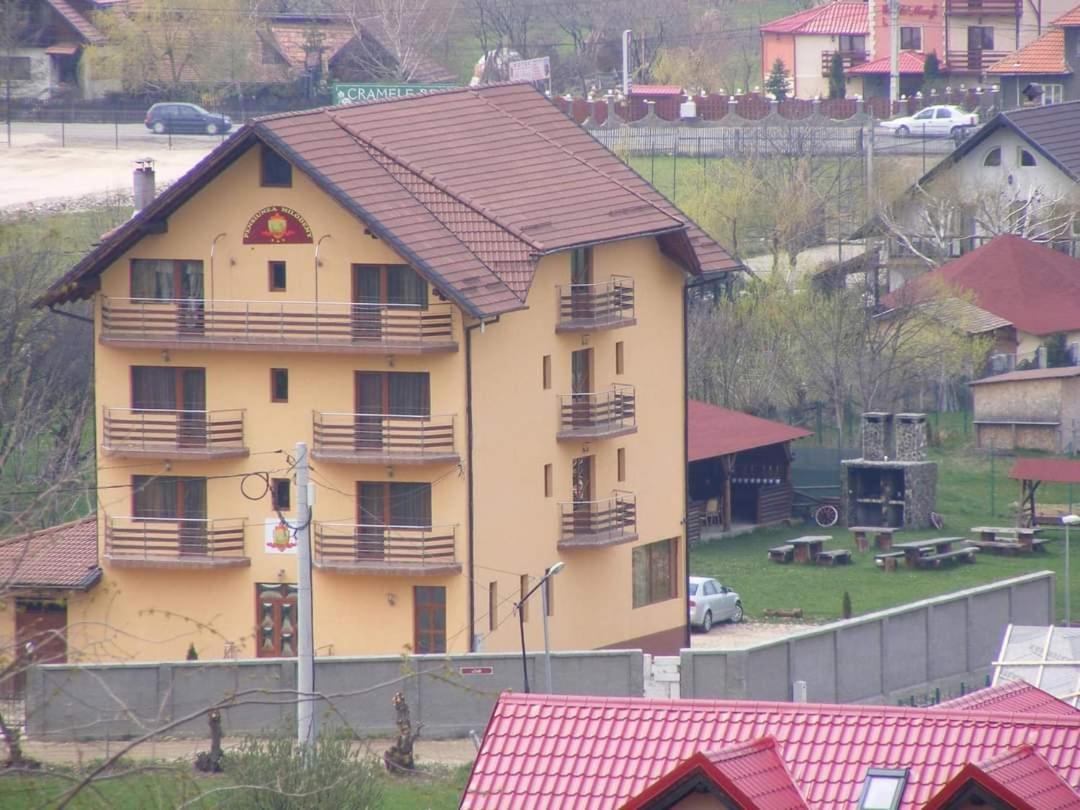 Pensiunea Riffelt Bran  Exterior foto